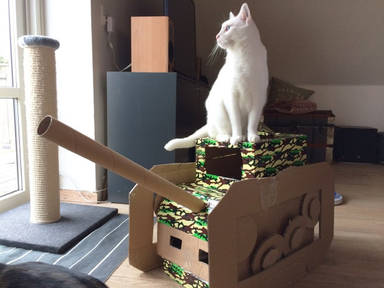 potret kucing karton tank