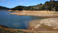 Dengan kondisi kering yang diperkirakan akan terus berlanjut, otoritas air Auckland Watercare akan memberlakukan pembatasan pada taman air dan cuci mobil.