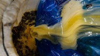 Madu ini dijual sekitar Rp 750.000/kg.