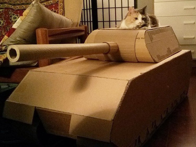 potret kucing karton tank