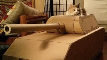 Bisa juga ajak keluarga untuk bareng-bareng buat kegiatan seperti ini, biar bonding semakin kuat. (Foto: sadanduseless)