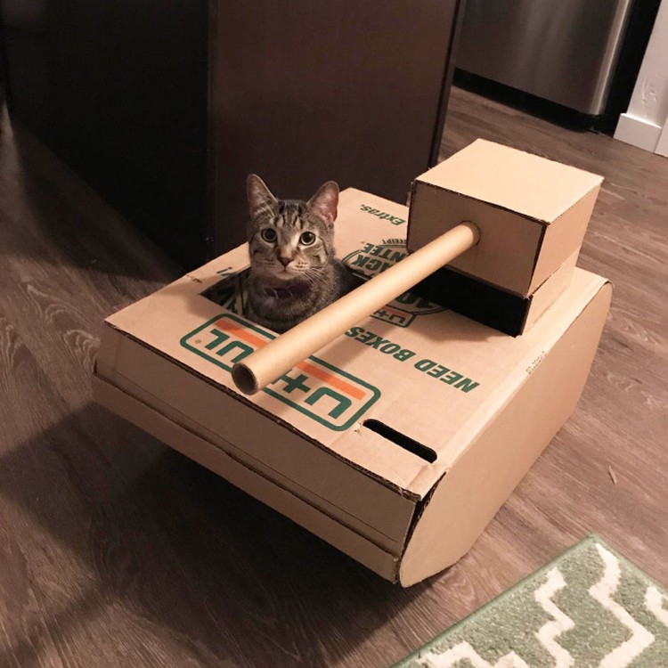 potret kucing karton tank