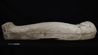 Sebelumnya, Kementerian Pariwisata dan Purbakala mengumumkan penemuan mumi yang berasal dari dinasti ke 17 Mesir, yaitu sekitar tahun 1550 SM. (Egypt Ministry of Tourism and Antiquities) 