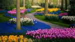 Mengintip Taman Bunga Tulip Terindah di Dunia