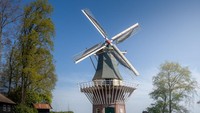 Tahun ini menjadi spesial karena Keukenhof ditutup, untuk pertama kalinya dalam 71 tahun. Tapi itu tidak berarti tidak ada bunga. Di sisi lain, bunga-bunga terlihat luar biasa karena tetap mendapatkan perhatian dan perawatan seperti biasa.