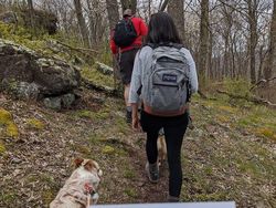 Ada-ada Saja, Pria Ini Lamar Kekasihnya saat Mendaki Gunung