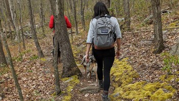 Ian dan Kyla tinggal di pusat Carolina Utara. Ian bekerja di bagian penjualan dan Kyla seorang insinyur komputer. Mereka sudah saling kenal selama sekitar dua tahun. Belum lama ini, Ian menyadari bahwa Kyla adalah orang yang tepat dan memutuskan untuk melamarnya.