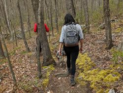 Ada-ada Saja, Pria Ini Lamar Kekasihnya saat Mendaki Gunung