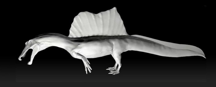 Wujud Fossil Spinosaurus, Dinosaurus yang Hidup di Air