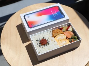 Nyeleneh! Netizen Ini Pakai Kardus Handphone Sebagai Kotak Makan