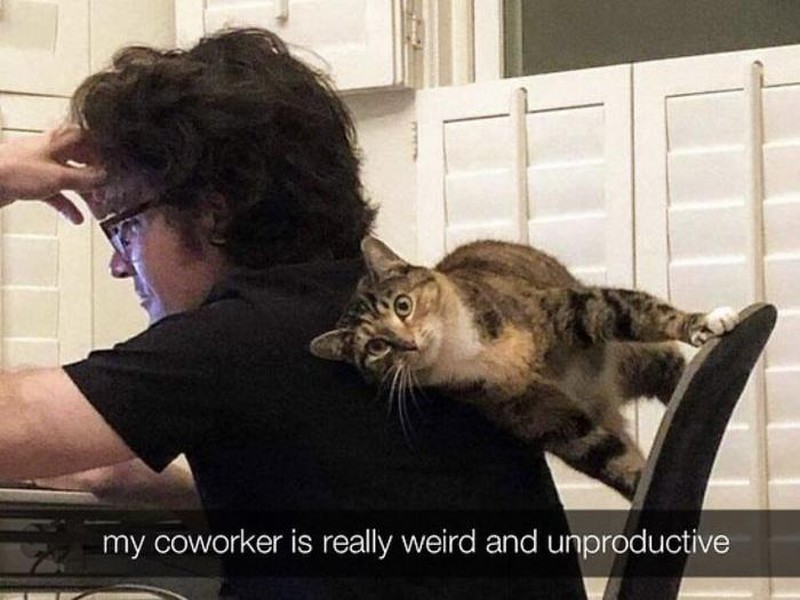 Meme Lelucon Virus Corona