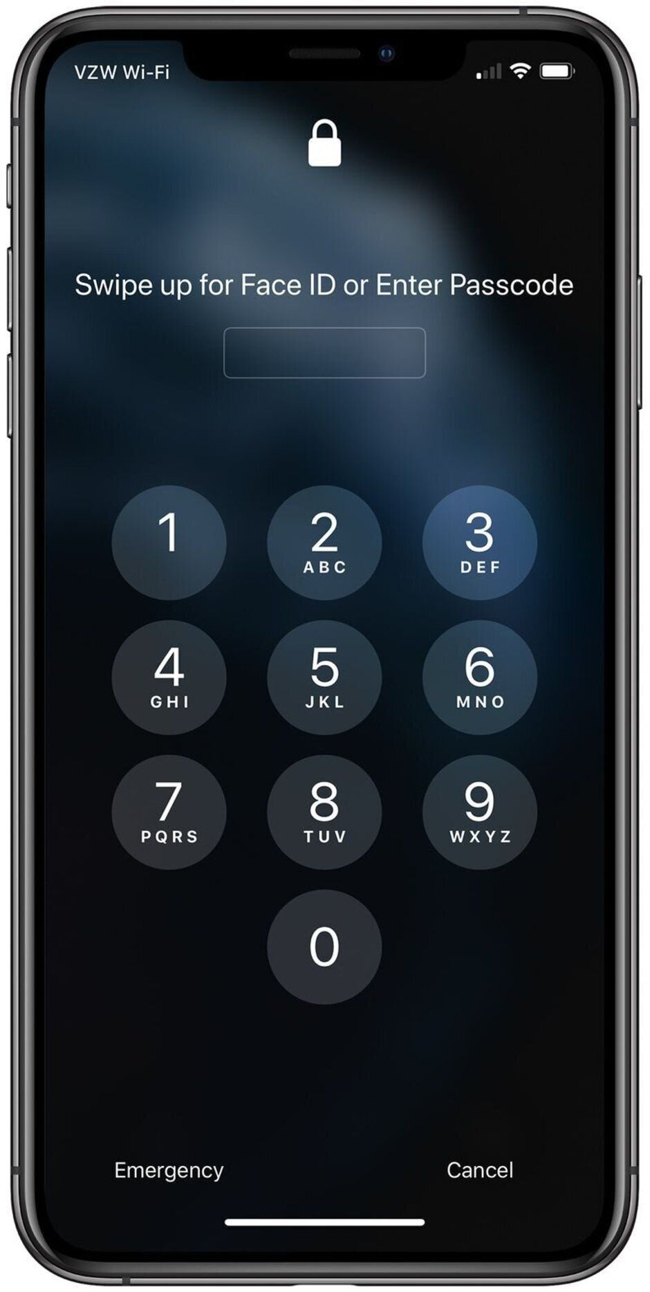 apple face id passcode