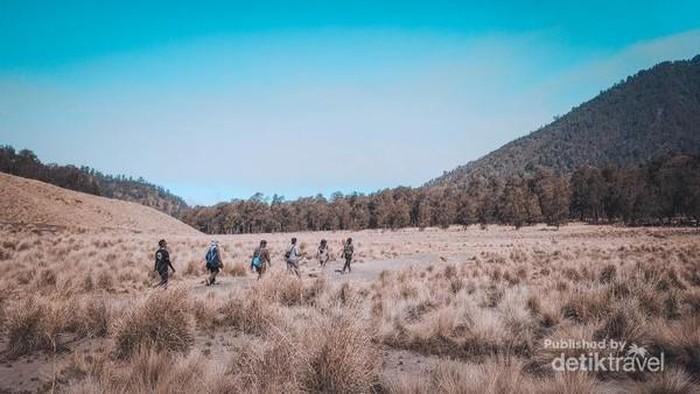 Oro-oro Ombo Gunung Semeru