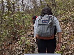 Ada-ada Saja, Pria Ini Lamar Kekasihnya saat Mendaki Gunung