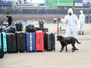 Kemenhub Fasilitasi Pulangnya 375 ABK Carnival Splendor