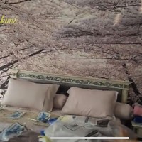 Keluarganya suka menginap di rumah, Iis Dahlia yang bersuamikan seorang pilot itu menyediakan dua kamar tidur tamu. Ada yang bernuansa hitam-putih, sementara satunya diberi wallpaper bergambar pohon sakura. (Foto: YouTube)