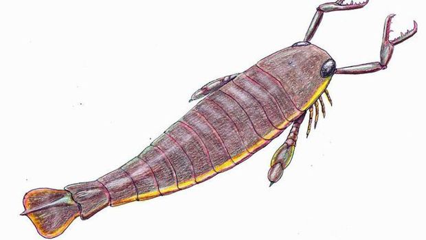 Ilustrasi penampakan Jaekelopterusm. Foto: Dmitry Bogdanov