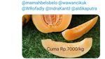 Kocaknya Cuitan Netizen yang Ganti Lirik Lagu dengan Aneka Makanan