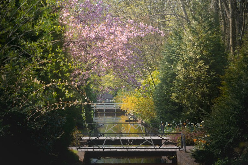 Taman Keukenhof saat pandemi