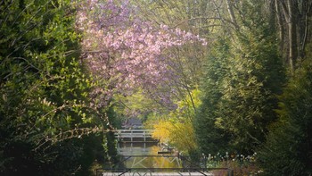 Cantik sekali ya! Karya foto Albert lainnya bisa dinikmati dengan berkunjung ke situsnya, albertdros.com. Foto: Albert via Bored Panda