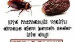 Kurma Jadi Bahan Meme Kocak, 8 Foto Ini Buktinya