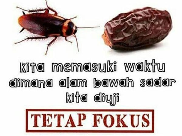 Kurma Jadi Bahan Meme Kocak, 8 Foto Ini Buktinya