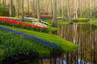 Taman Keukenhof saat pandemi