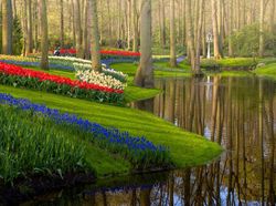 Tak Ada Pengunjung, Taman Bunga Terindah di Dunia Kian Memesona