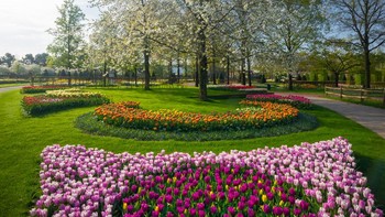 Seri foto Keukenhof yang ditampilkan di situsnya albertdros.com dan akun Bored Panda miliknya, merupakan inisiatif Albert yang berkolaborasi dengan Keukenhof. Foto: Albert via Bored Panda