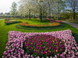 Tak Ada Pengunjung, Taman Bunga Terindah di Dunia Kian Memesona