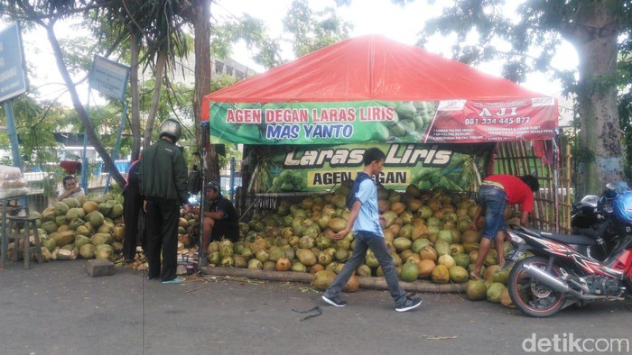 Di tengah pandemi Corona, omzet pedagang kelapa muda di Lamongan mengalami kenaikan. Terlebih, saat ini memasuki bulan suci Ramadhan.