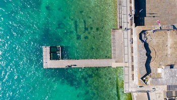 Tapi tengoklah sekarang, berubah drastis. Foto: Solent New via Bored Panda