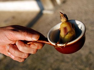 Hiu Busuk dan Tikus, Makanan Aneh yang Disukai Negara Barat