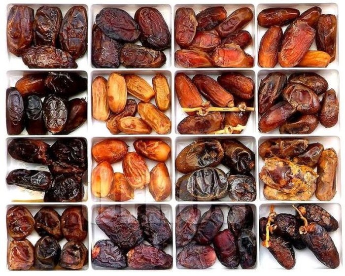 kurma