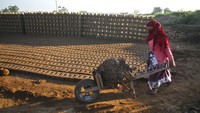 Seorang wanita India membawa batu bata saat bekerja di tempat pembakaran batu bata di pinggiran Hyderabad, India, Kamis (30/4/2020). Setelah 5 pekan lockdown, pemerintah India mulai memperlonggar aturan  dengan  mengizinkan pembukaan kembali toko-toko  dan kegiatan manufaktur dan pertanian di pedesaan India untuk membantu jutaan orang miskin yang kehilangan pekerjaan.  AP / Mahesh Kumar A.