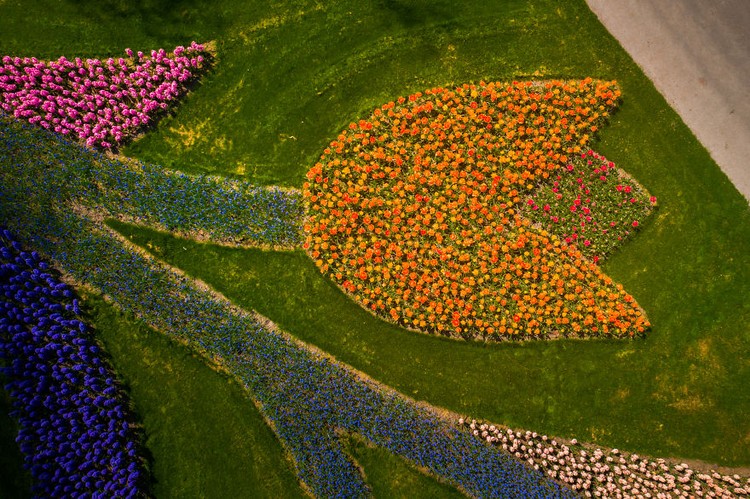 Taman Keukenhof saat pandemi