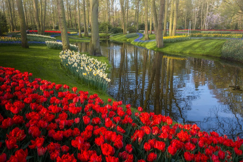 Taman Keukenhof saat pandemi