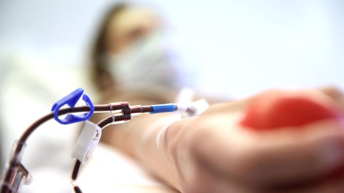 Pasien Covid-19 yang dinyatakan sembuh menyumbangkan plasma darah 
untuk penelitian antibodi Covid-19.