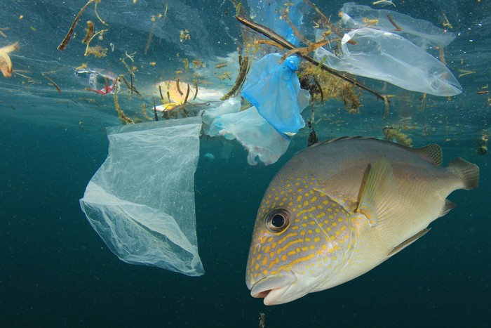 sampah plastik