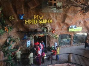 Ini Rumah Komodo & Reptil Lainnya di Jawa Timur