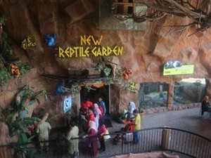 Ini Rumah Komodo & Reptil Lainnya di Jawa Timur