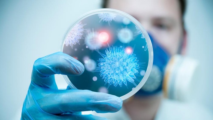 Ebola, Sars dan Flu Babi: Bagaimana manusia mengalahkan wabah dan pandemi sebelum Covid-19 Ebola, Sars dan Flu Babi: Bagaimana manusia mengalahkan wabah dan pandemi sebelum Covid-19