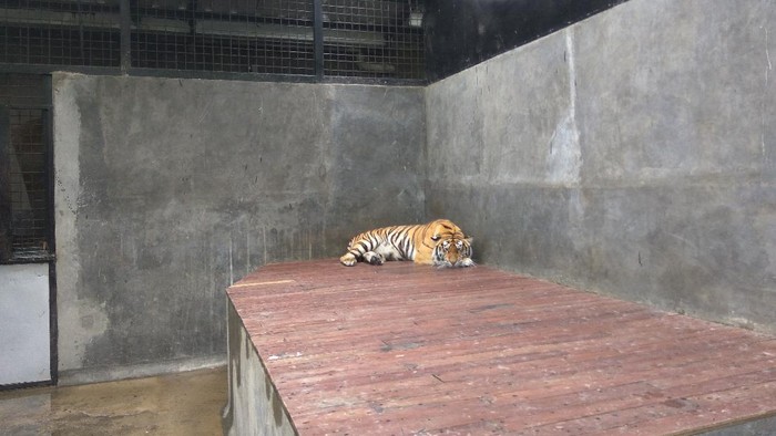 Lembang Park & Zoo di Parongpong, Bandung Barat