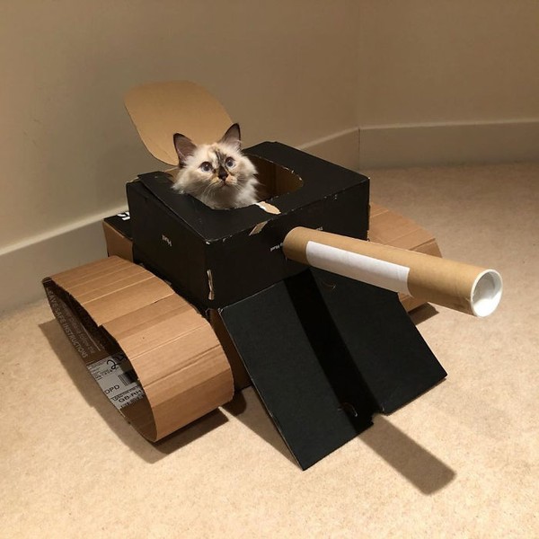 Salah satunya adalah bermain dengan kucing. Tingkah mereka yang menggemaskan membuat karantina tidak membosankan (Bored Panda) Salah satunya adalah bermain dengan kucing. Tingkah mereka yang menggemaskan membuat karantina tidak membosankan (Bored Panda)