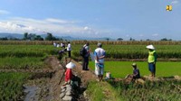 Pada tahun 2020, Program Percepatan Peningkatan Tata Guna Air Irigasi (P3TGAI) yang dilaksanakan di 10.000 lokasi yang tersebar di 33 provinsi. P3 TGAI merupakan salah satu dari program PKT Kementerian PUPR dengan anggaran total Rp. 10,2 triliun. Sebelum dilakukan refocussing kegiatan terkait mitigasi dampk Pandemi COVID-19, jumlah lokasi P3TGAI  yang diprogramkan adalah 6.000 lokasi.Foto: Dok. Kementerian PUPR