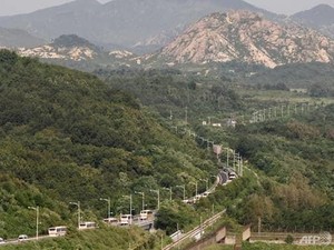 Geger Adu Tembakan Korut Vs Korsel di Zona Perbatasan