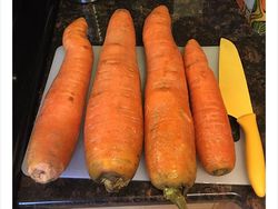 Akibat Belanja Online, Orang-orang ini Dapat Ukuran Tak Biasa