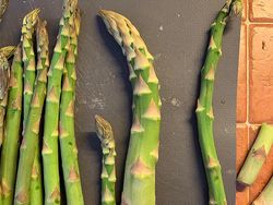 Akibat Belanja Online, Orang-orang ini Dapat Ukuran Tak Biasa