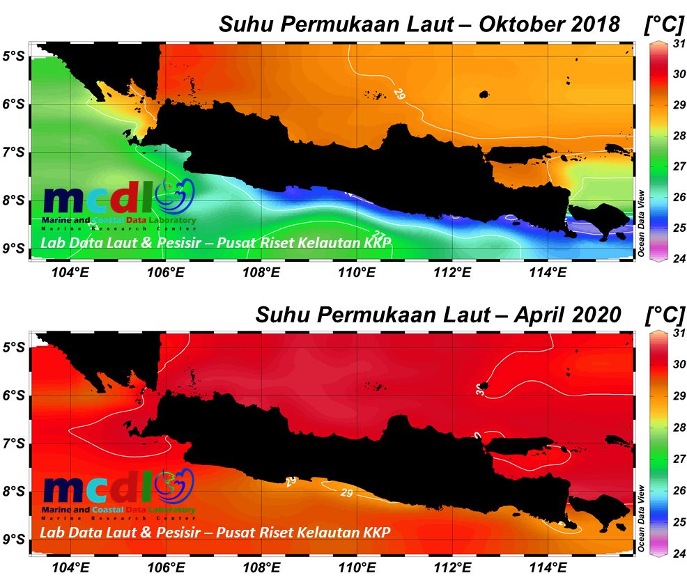 Analisis oseanografi terkait penyerbuan ubur-ubur di PLTU Paiton