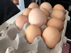 Akibat Belanja Online, Orang-orang ini Dapat Ukuran Tak Biasa